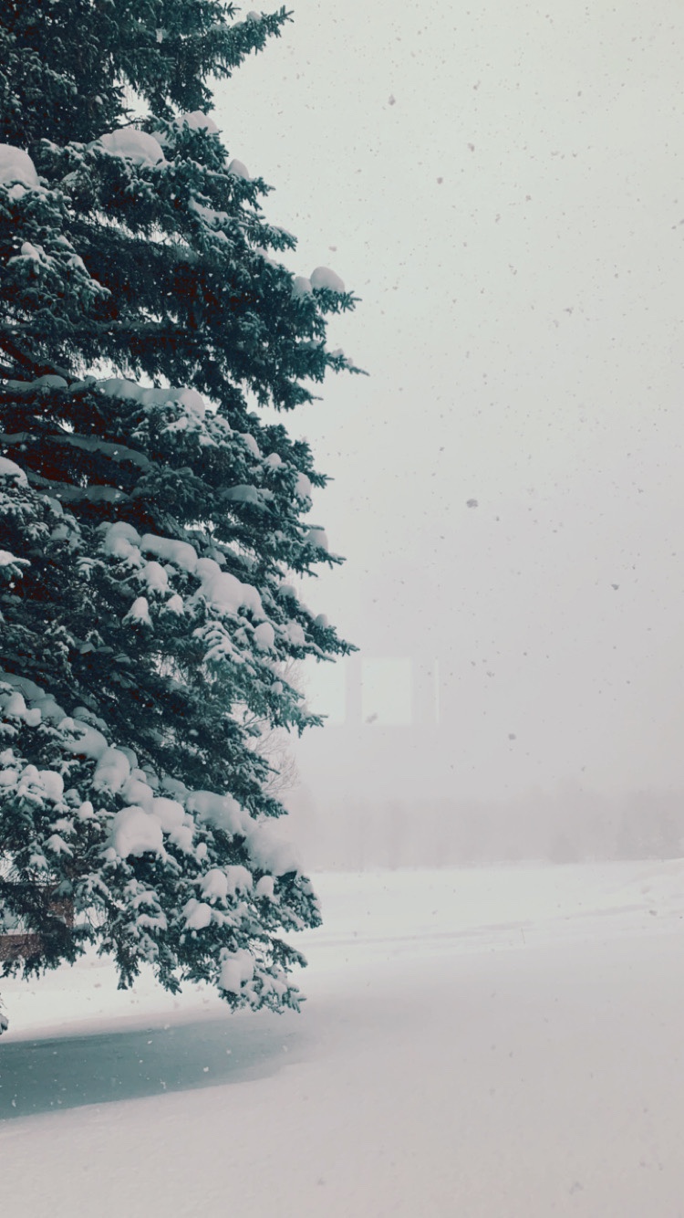 0d108bcd-ef63-4c2e-8ed6-4428995749e8