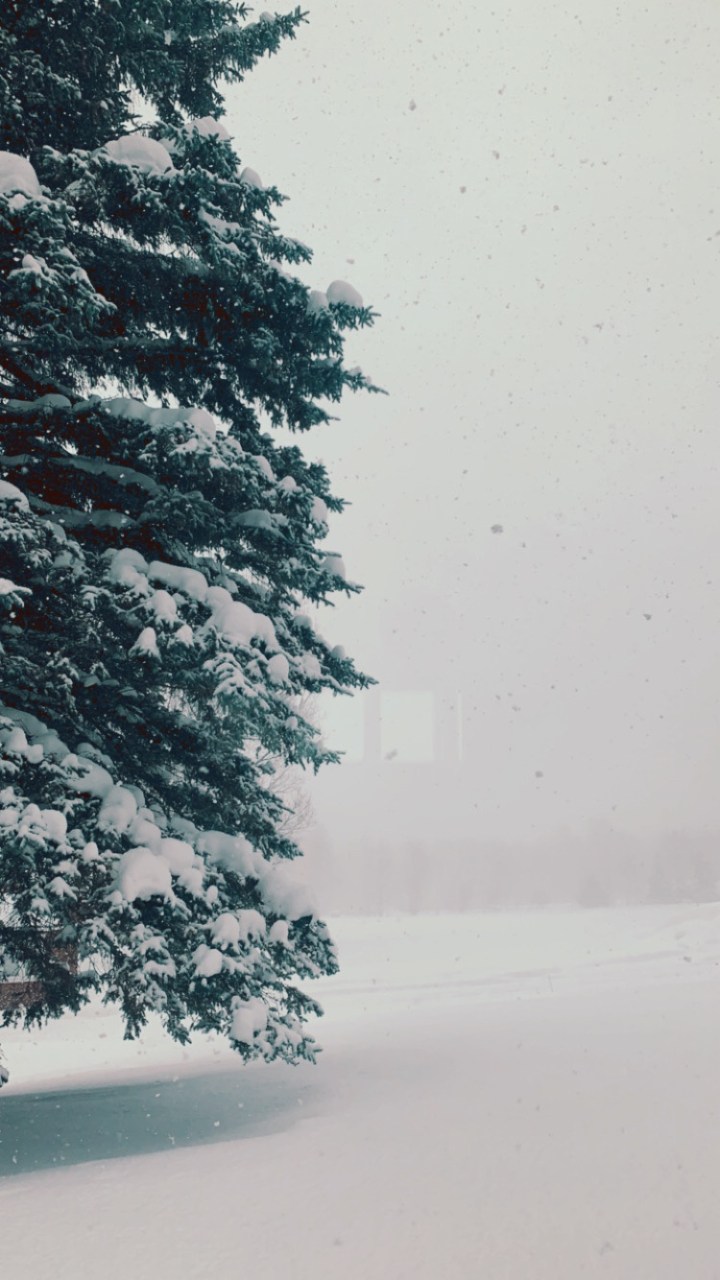 0d108bcd-ef63-4c2e-8ed6-4428995749e8